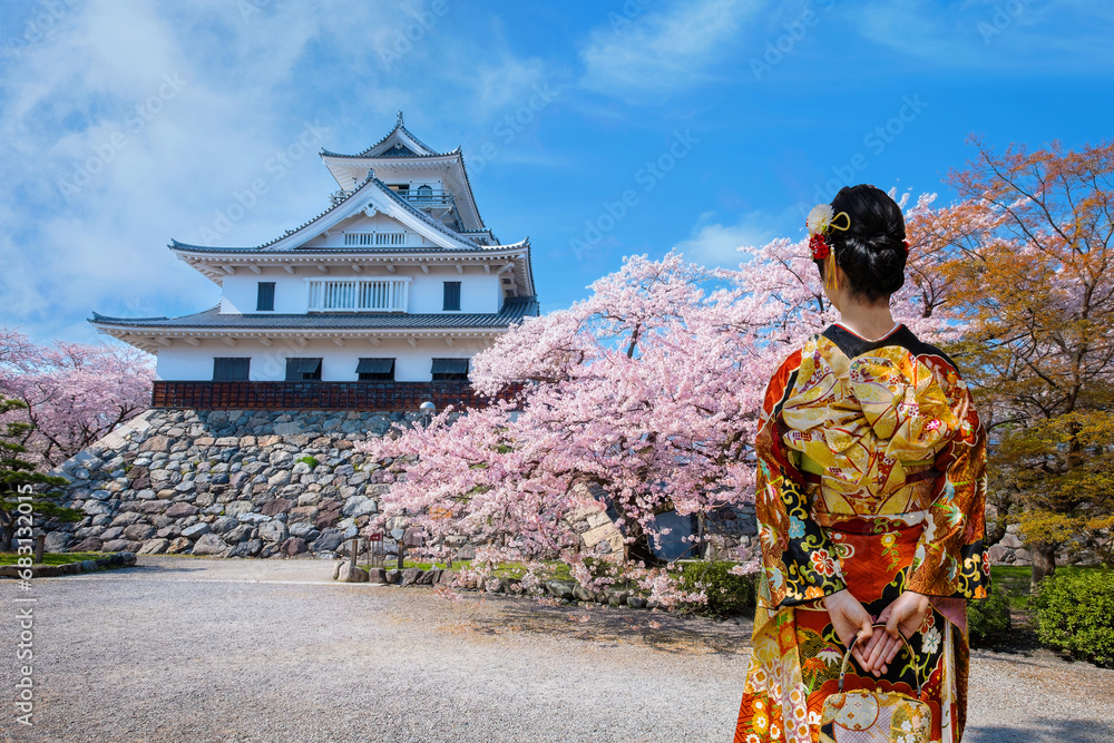 Young Japanese Geisha in Traditional Kimono Dress at Nagahama Castle in Shiga Prefecture during full bloom cherry blossom season