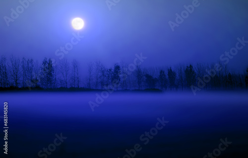 A misty night, a quiet field. © 泰峰