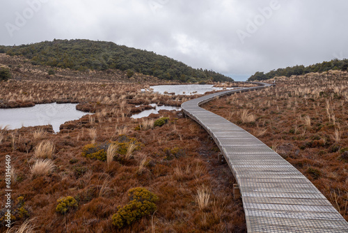 Boardwalk across the high alpine wetlands of the Rotokawa pools on the Waitonga Falls Track on Mount Ruapehu, Tongariro National Park, New Zealand.  © Steve