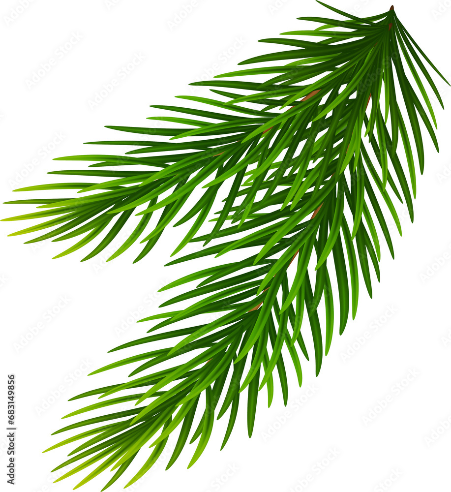 Spruce tree realistic green branch, Christmas decorative element Spruce tree realistic green branch, Christmas decorative element