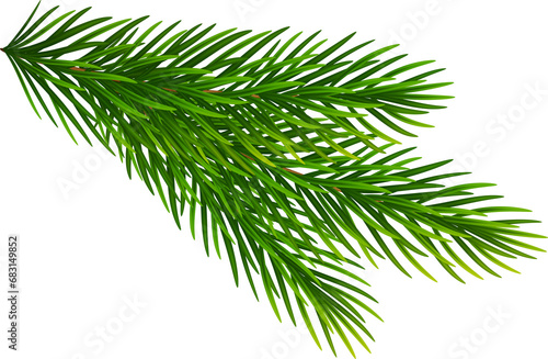 Spruce tree realistic green branch  Christmas decorative element