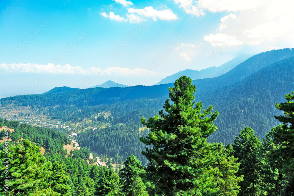 Fototapeta premium landscape with trees and clouds at Power project path Gulmarg,Forest block, Jammu Kashmir,india.