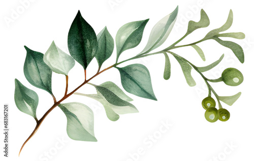 Mistletoe berries watercolor winter botanical leaf branch for chrismast  photo