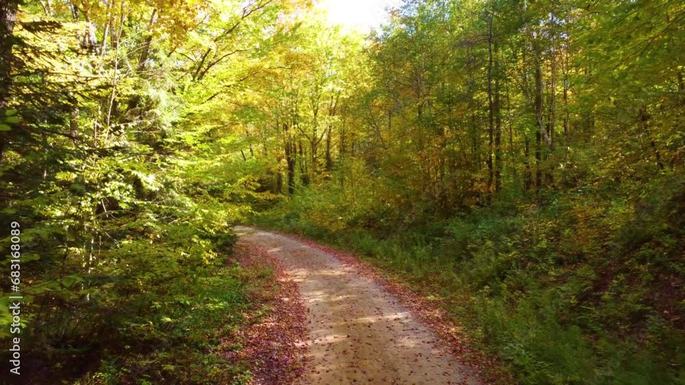 Driving and following the backcountry roads in the woodlands while enjoying the changing wintry fall season in the city of Montreal in Quebec, Canada. Driving and following the backcountry roads in the woodlands while enjoying the changing wintry fall season in the city of Montreal in Quebec, Canada.