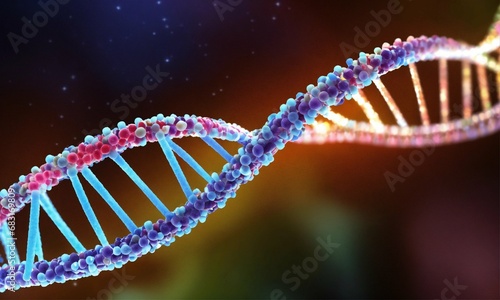 DNA, double helix, rna