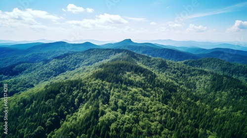 Serene Forest in the Foreground of Majestic Mountain Range - A Breathtaking Aerial View Generative AI © Jhanvi