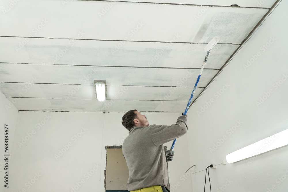 Craftsman's Precision: Telescopic Roller in Skilled Hands Beautifying the Wall with Expertise. Craftsman's Precision: Telescopic Roller in Skilled Hands Beautifying the Wall with Expertise.