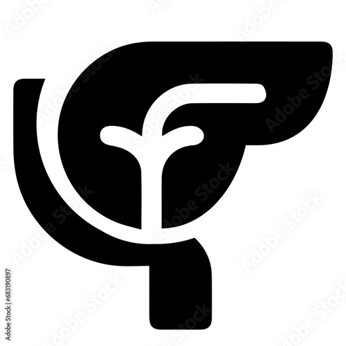 Pancreas
