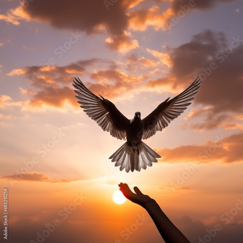 Silhouette of a pigeon against a sunrise/sunset backdrop, framed by hands