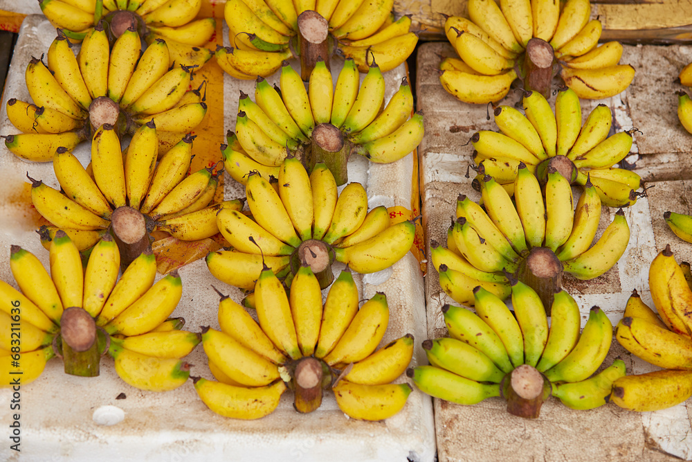 bunch of bananas on the market bunch of bananas on the market