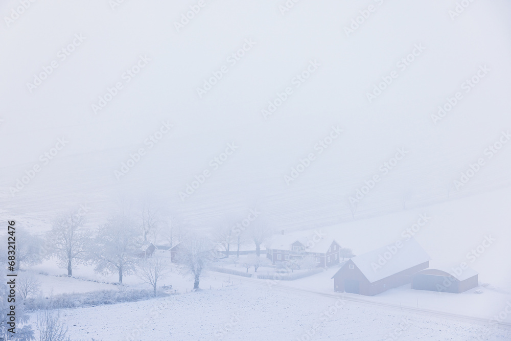 Farm in the countryside on a foggy winter day