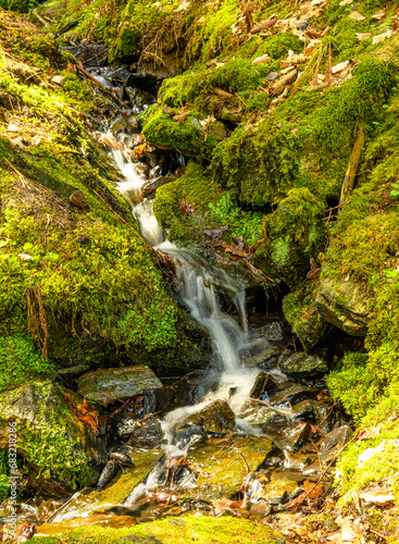 cascades on small creeek surrounded with mossy ground photo