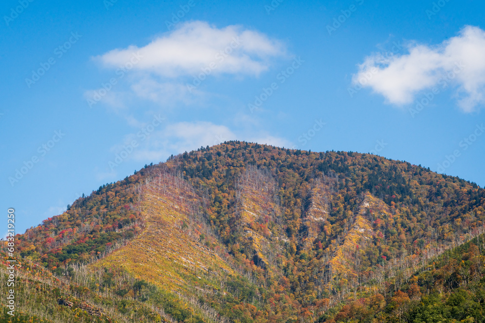 A Autumn Mountain at the Great Smoky Mountains National Park
