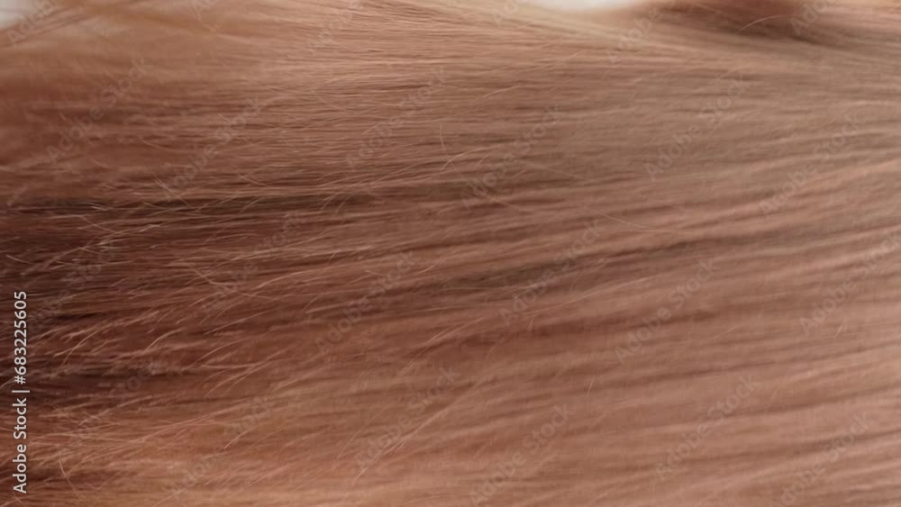 Vertical video. A red-haired girl stands with her back in the studio on a gray background and waves her hair. The concept of caring for beautiful and healthy hair. Hair texture close up. Vertical video. A red-haired girl stands with her back in the studio on a gray background and waves her hair. The concept of caring for beautiful and healthy hair. Hair texture close up.