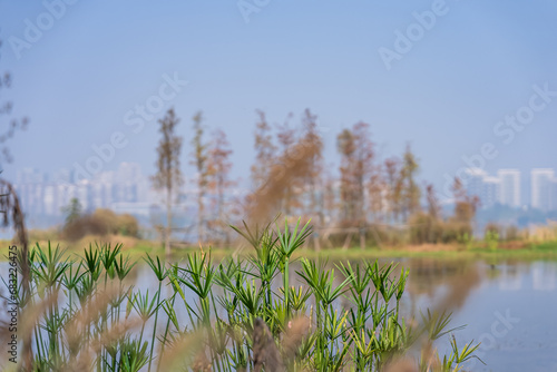 The gradually improving ecological environment of park cities