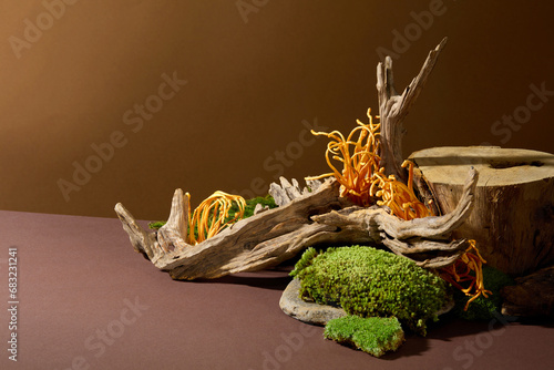 Wooden platform, green moss and cordyceps against a brown background. Showcase area for products. Cordyceps benefits those with high blood pressure, aiding in complication treatment. photo