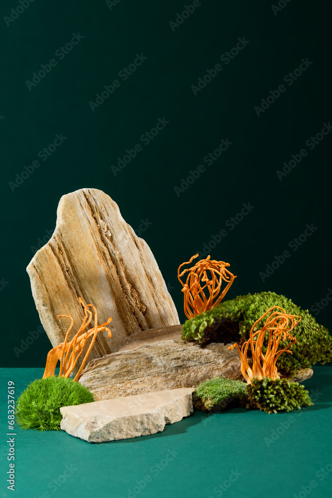Cordyceps and green moss grow on rocks on a dark green background. Space for displaying functional foods. Cordyceps is a rare medicinal herb that helps improve health.