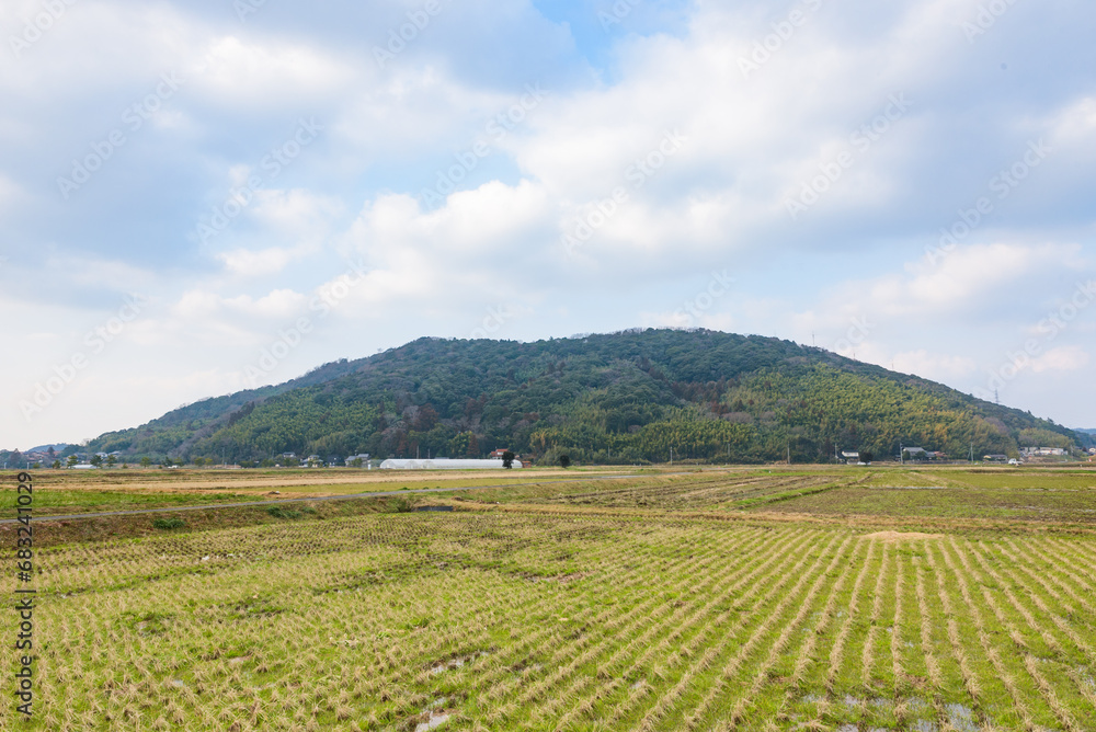 Typical rice pady field landscape in Japan