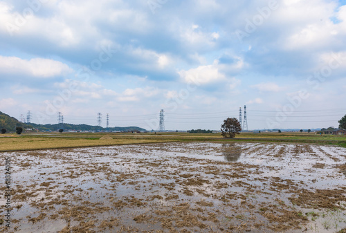 Typical rice pady field landscape in Japan photo