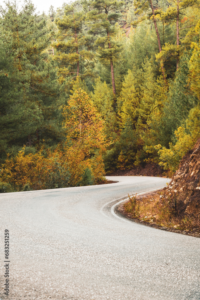 Fototapeta premium Asphalt road through autumn forest at sunrise