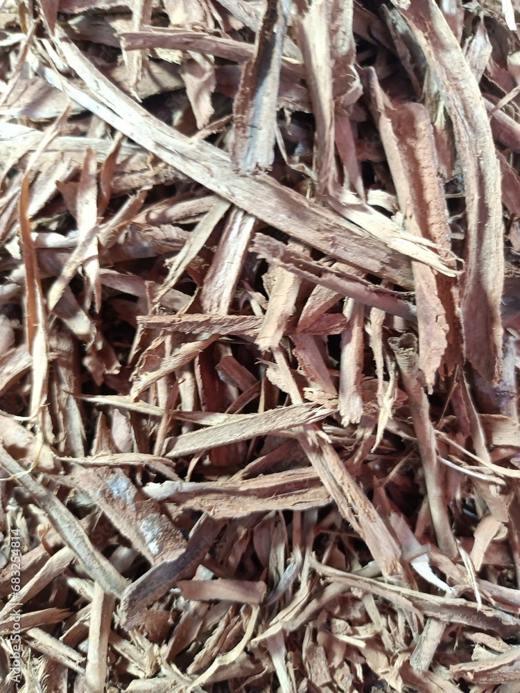 Cinnamon sticks are the dried, rolled-up barks of the Cinnamomum verum tree Cinnamon sticks are the dried, rolled-up barks of the Cinnamomum verum tree