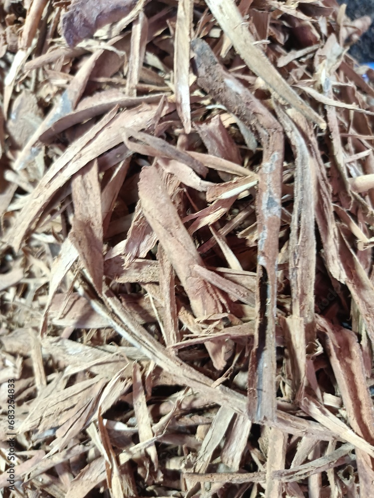 Cinnamon sticks are the dried, rolled-up barks of the Cinnamomum verum tree Cinnamon sticks are the dried, rolled-up barks of the Cinnamomum verum tree