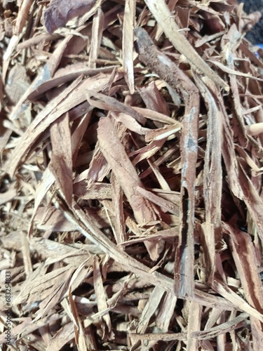 Cinnamon sticks are the dried, rolled-up barks of the Cinnamomum verum tree