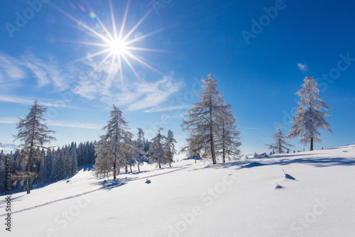 Majestic winter landscape in Austria with deep snow, sunshine and blue sky © Photofex