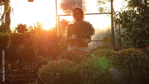 Woman working in a flower nursery greenhouse, taking care of plants and preparing it for selling. photo