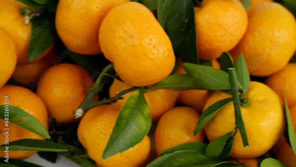 Fresh tangerines with green leaves Fresh tangerines with green leaves