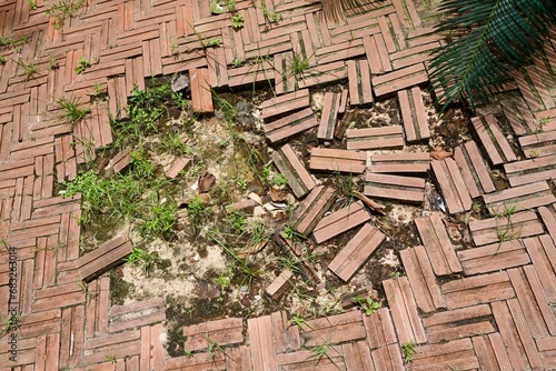 Floor red brick , footpath floor. photo