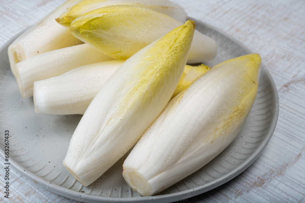Fresh organic chicory endive salad ready to eat, traditional food in Belgium and the Netherlands Fresh organic chicory endive salad ready to eat, traditional food in Belgium and the Netherlands