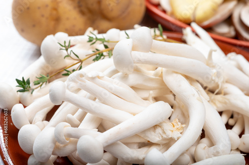 White shimeji edible mushrooms native to East Asia, buna-shimeji is widely cultivated and rich in umami tasting compounds. Mushrooms mix for cooking. photo