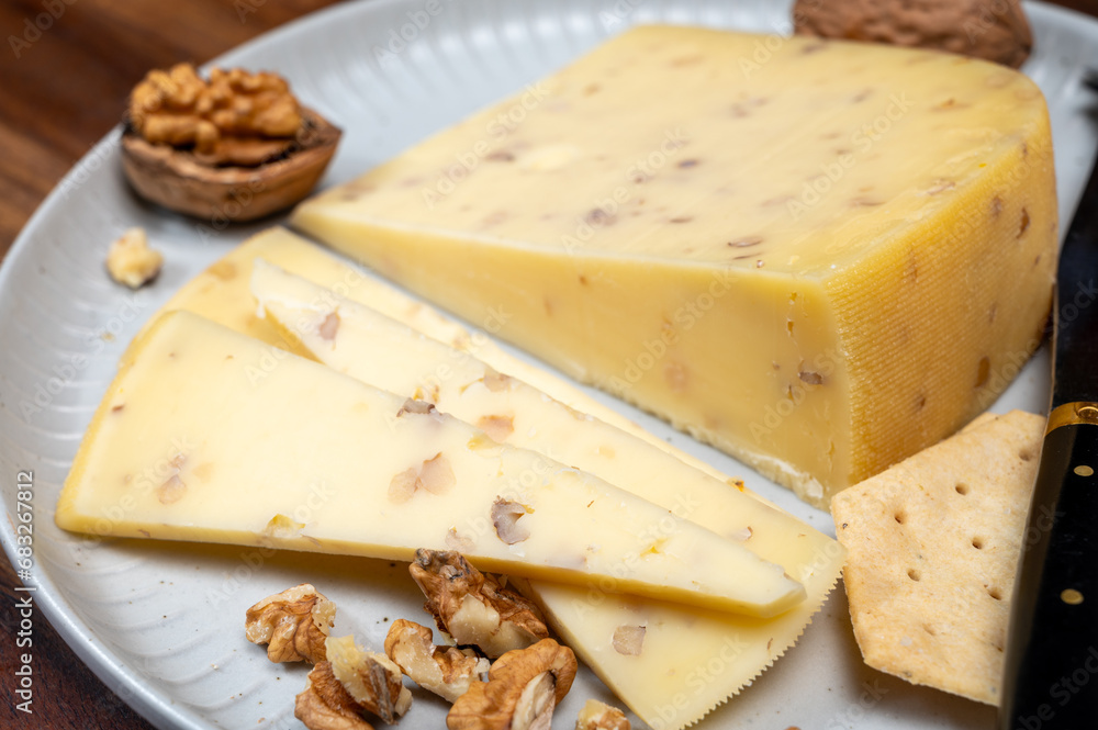 Piece of Dutch Gouda cheese made from cow milk with added walnuts close up