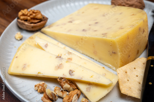 Piece of Dutch Gouda cheese made from cow milk with added walnuts close up