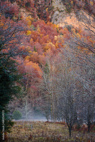 The red, ocher, yellow and green colors of autumn in the beech forests of the Pyrenees of the Ordesa Valley, in the Ordesa and Monte Perdido National Park. Huesca. Aragon. Spain