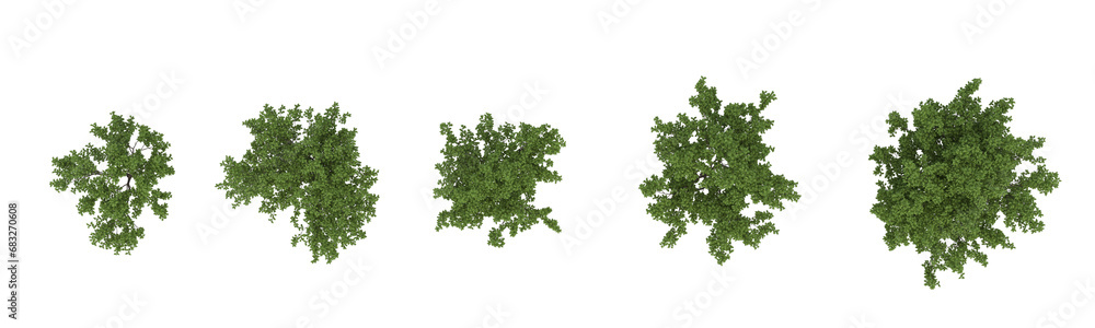 These images are used to decorate the house, replace or create a forest, hope you like them These images are used to decorate the house, replace or create a forest, hope you like them