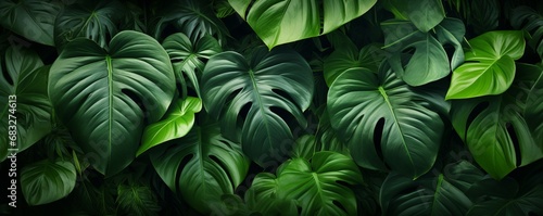 tropical green leaves background, pattern