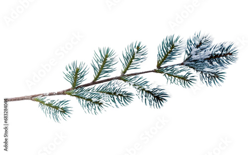 Snow Covered Pine Silhouette Isolated on Transparent Background PNG.