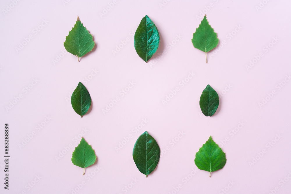 Fototapeta premium green leaves square frame banner top view isolated on pink background with copy space. flat lay