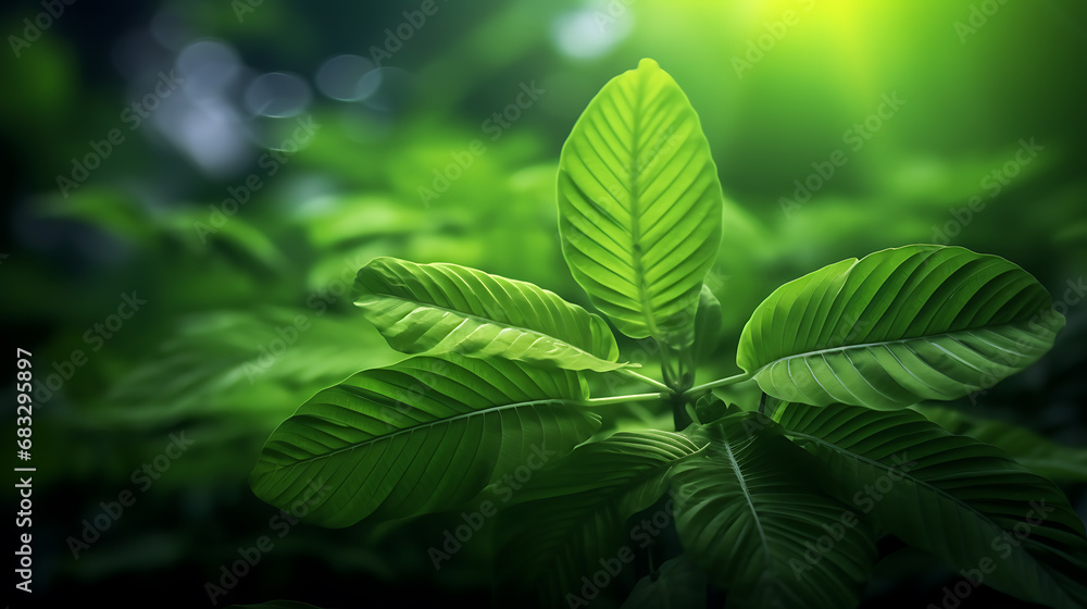 Green tropical leaves against a dark green blurry background. Abstract natural background