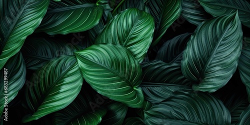 green leaf texture nature background tropical leaves © PNG WORLD
