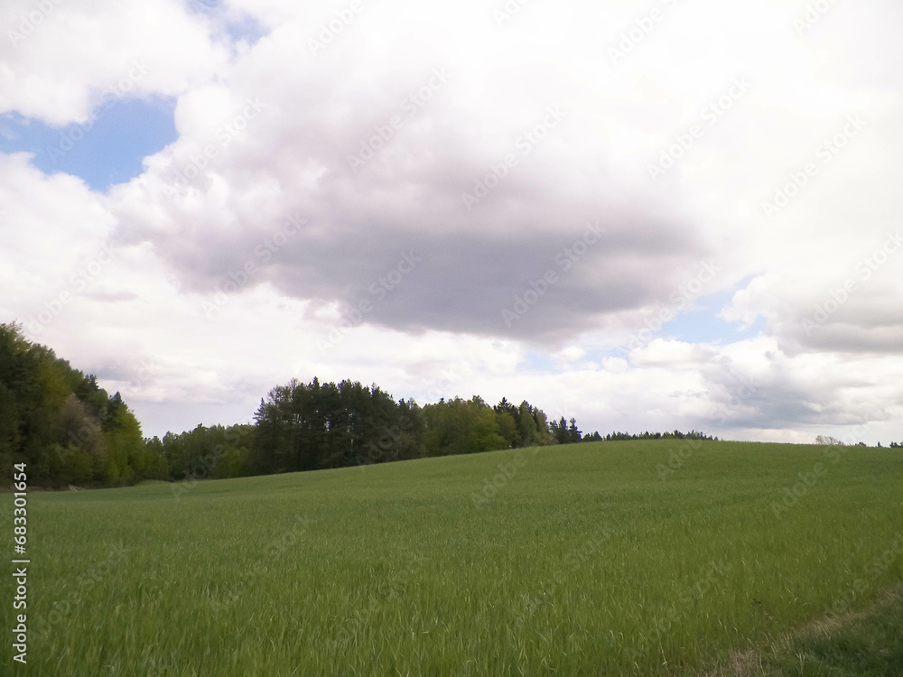 Green fields and hills in Wiezyca, Kashubian Region, Poland. Green fields and hills in Wiezyca, Kashubian Region, Poland.