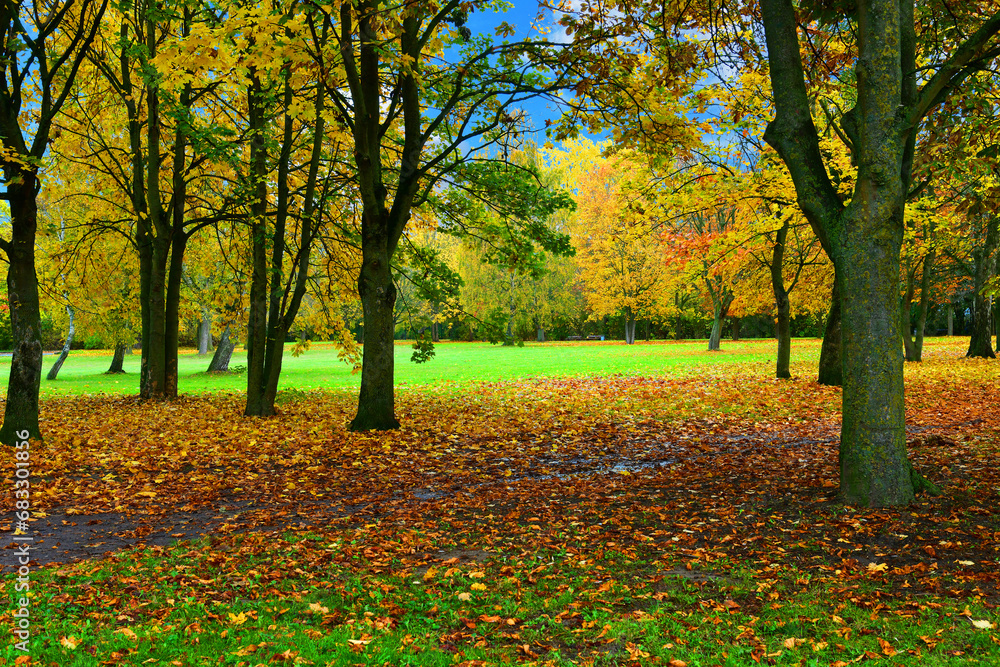 Autumn landscape. Pathway through the autumn park. Autumn landscape. Pathway through the autumn park.
