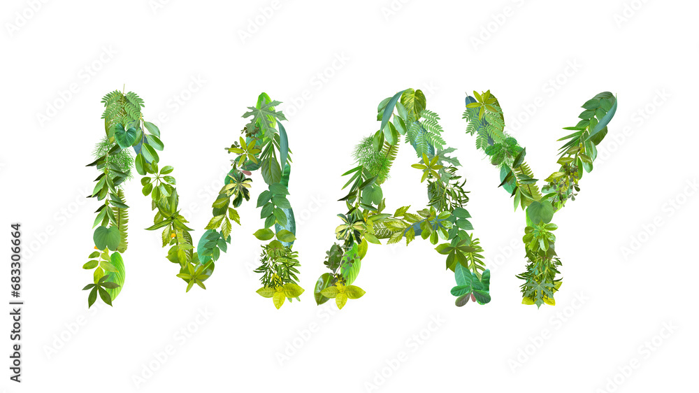 MAY, month, word or text made from various kinds of leaves isolated on transparent background, PNG, suitable for template design 