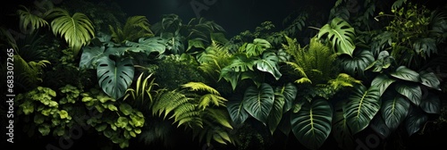 Nature Leaves Green Tropical Forest Backgound  Background Image For Website  Background Images   Desktop Wallpaper Hd Images