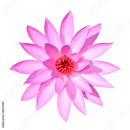 Lotus flower / transparebnt background