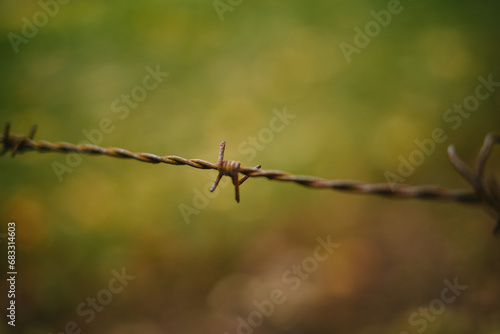 Barbed wire close up detail shot. Shallow depth of field, bokeh background, no people
