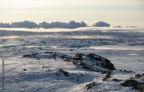 Umrundung Spitzbergen mit dem Segelschiff photo