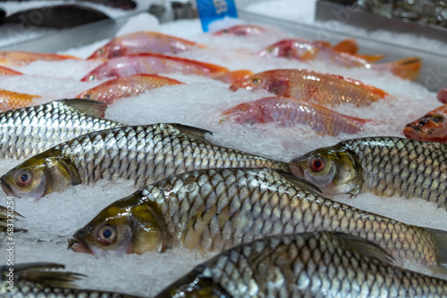 Red and Black Tilapia on Ice Bucket in the Market